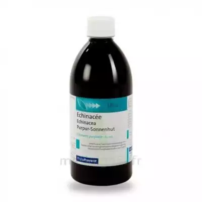 Eps Phytostandard Echinacée Extrait Fluide Fl/500ml à VALS-LES-BAINS